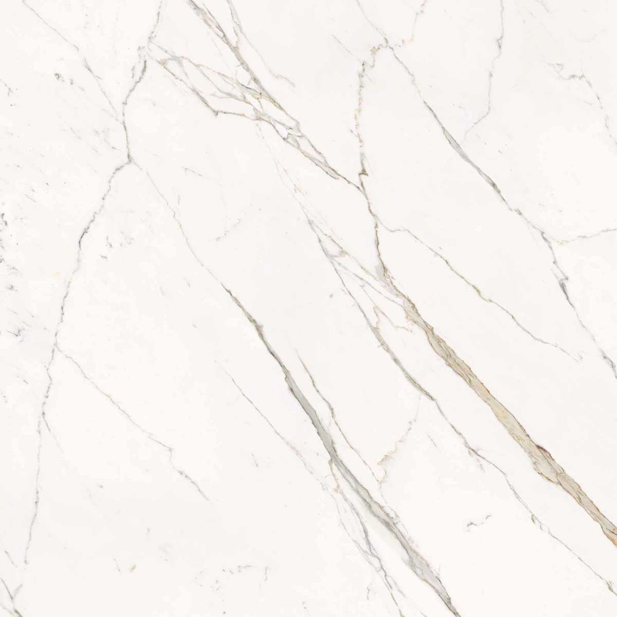 Calacatta Statuarietto Lappato 120x120 (1200x1200)