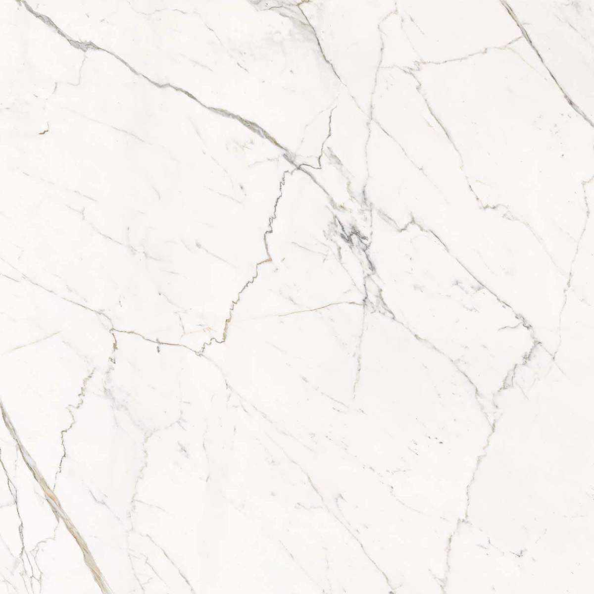 Calacatta Statuarietto Lappato 120x120 (1200x1200)