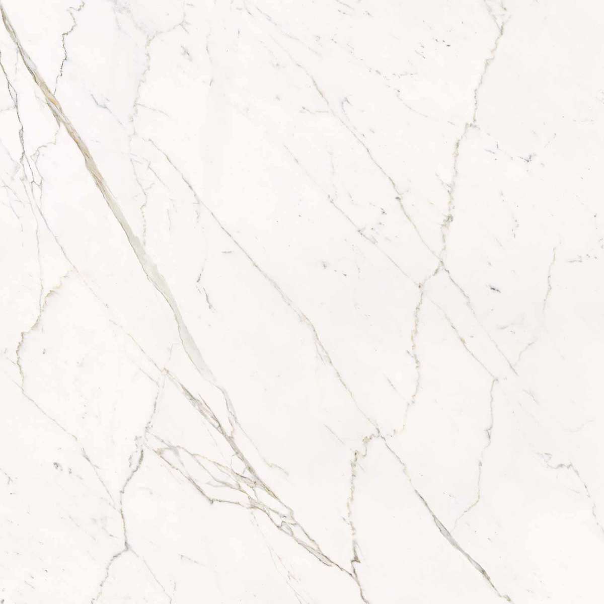 Calacatta Statuarietto Lappato 120x120 (1200x1200)