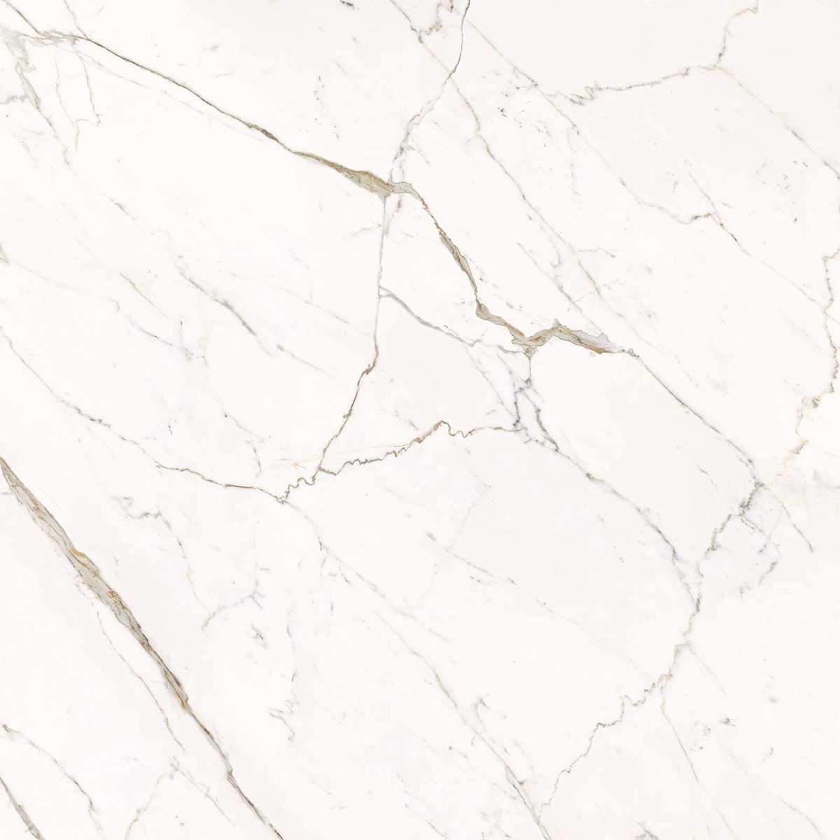 Calacatta Statuarietto Lappato 120x120 (1200x1200)