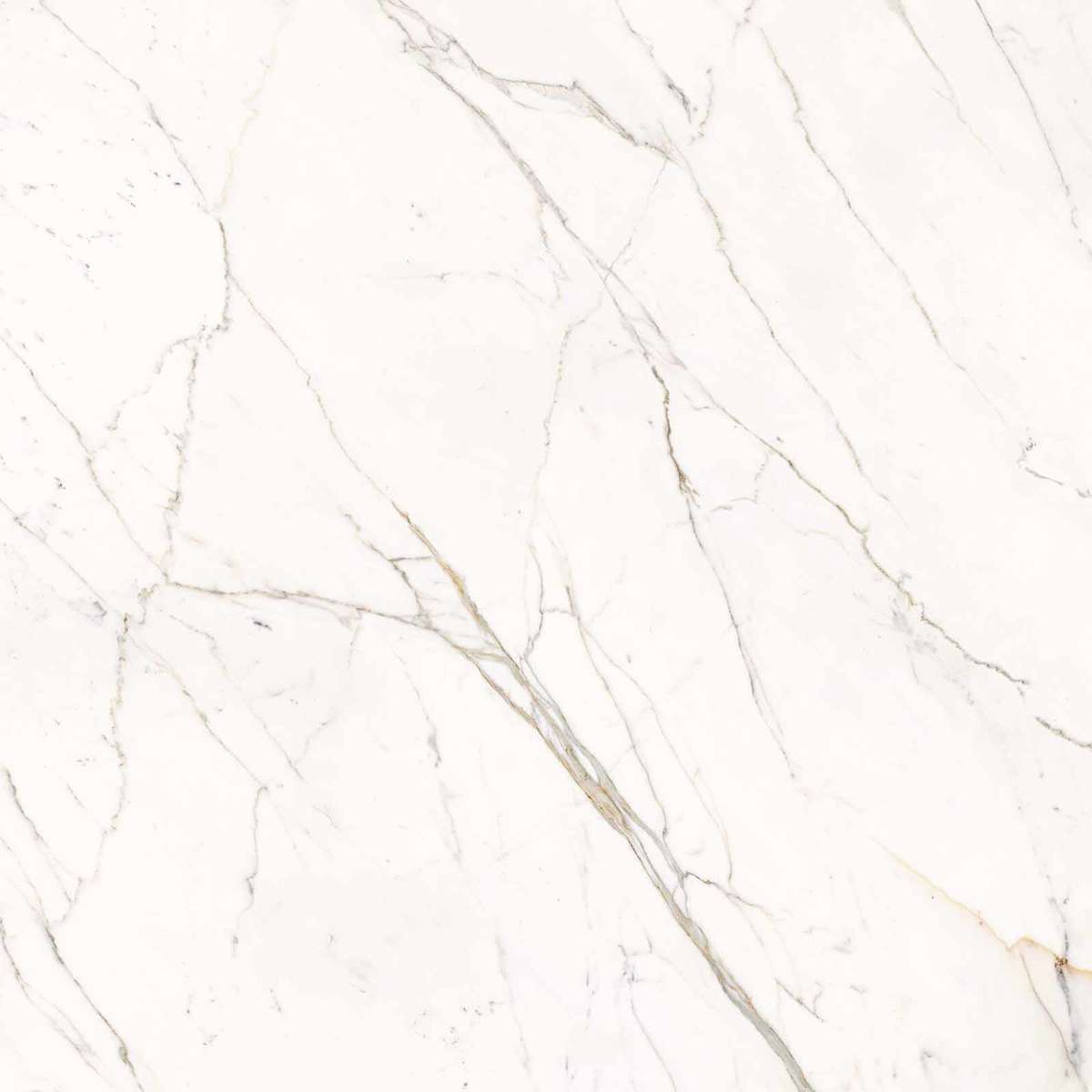 Calacatta Statuarietto Lappato 120x120 (1200x1200)
