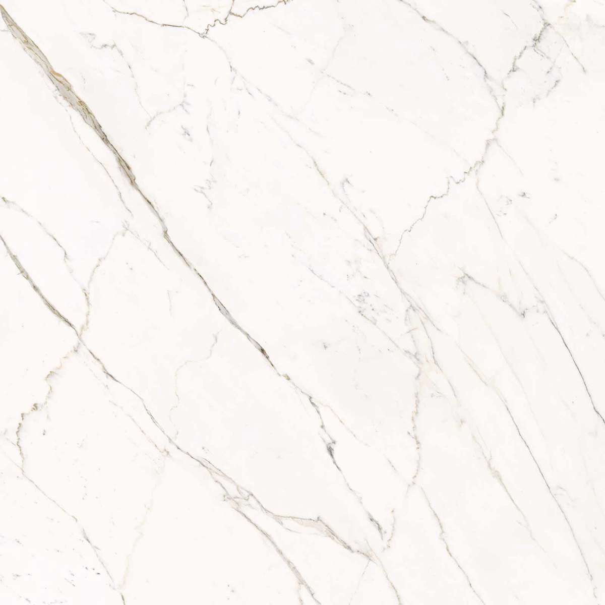 Calacatta Statuarietto Lappato 120x120 (1200x1200)