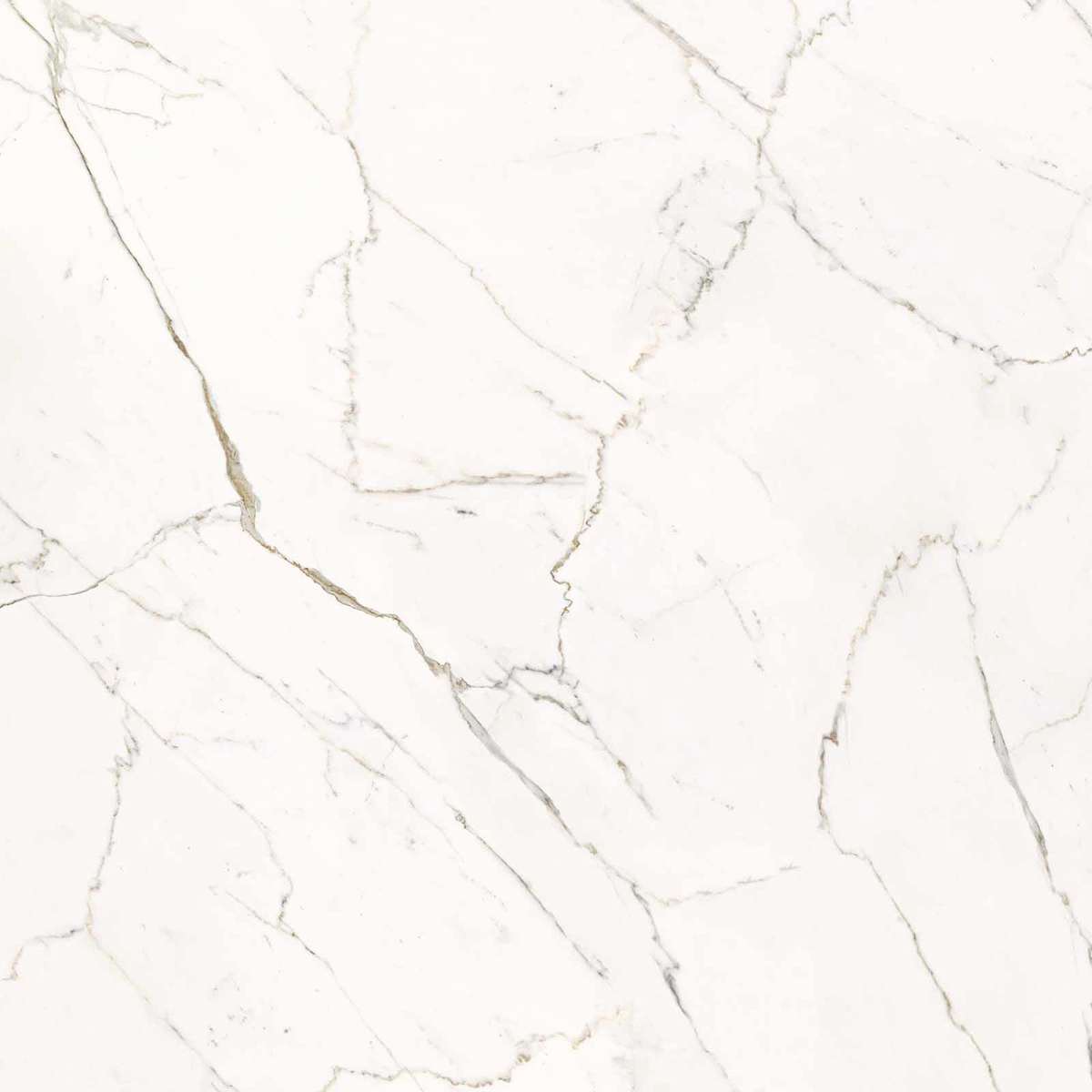 Calacatta Statuarietto Lappato 120x120 (1200x1200)