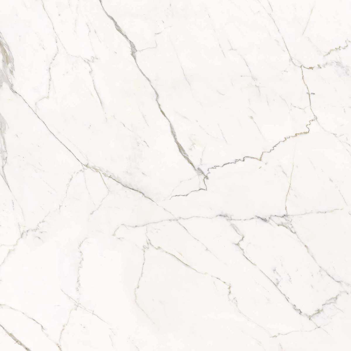 Calacatta Statuarietto Lappato 120x120 (1200x1200)