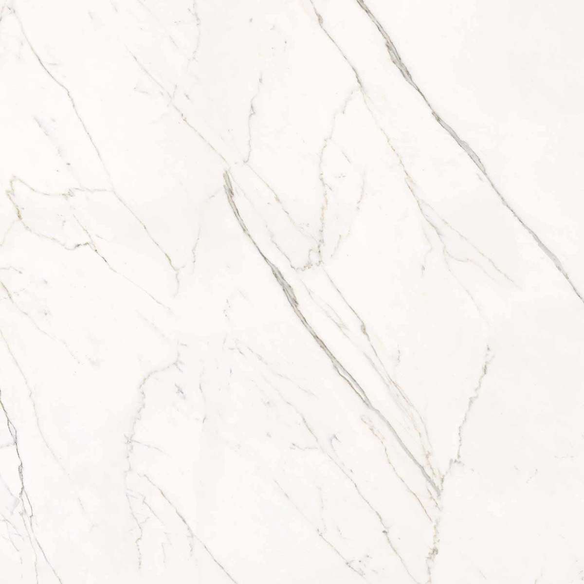 Calacatta Statuarietto Lappato 120x120 (1200x1200)