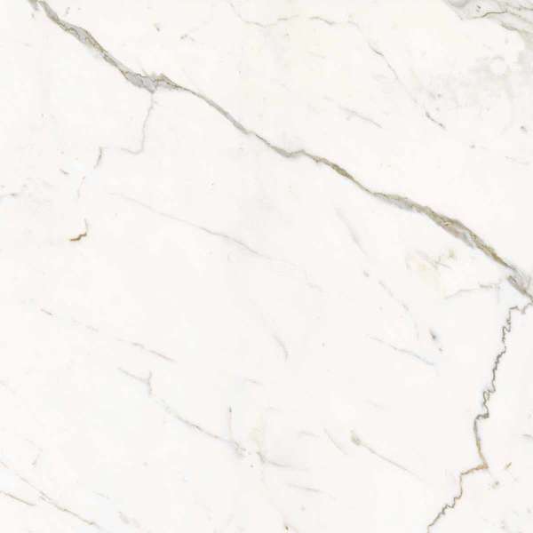 Calacatta Statuarietto Nat 60x60 (600x600)