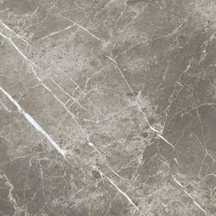 Persian Grey Silk 60x60 (600x600)