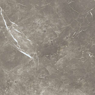 Persian Grey Silk 60x60 (600x600)