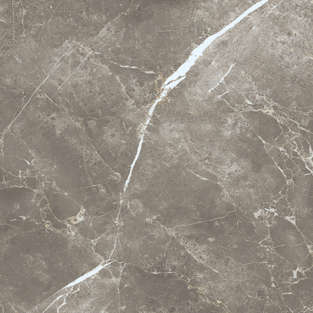 Persian Grey Silk 60x60 (600x600)