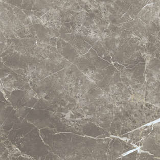 Persian Grey Silk 60x60 (600x600)
