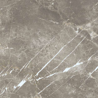 Persian Grey Silk 60x60 (600x600)