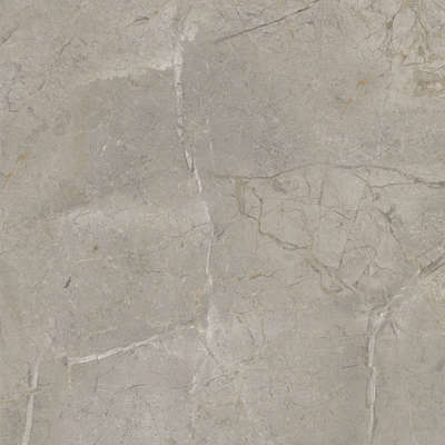 Silver Grey Silk 60x60 (600x600)