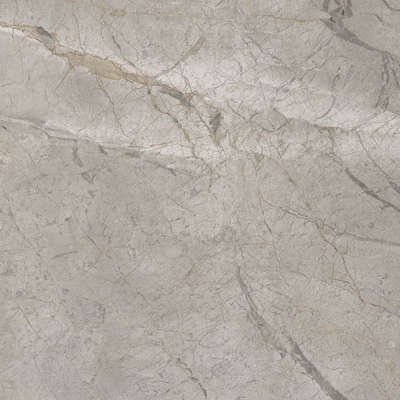 Silver Grey Silk 60x60 (600x600)