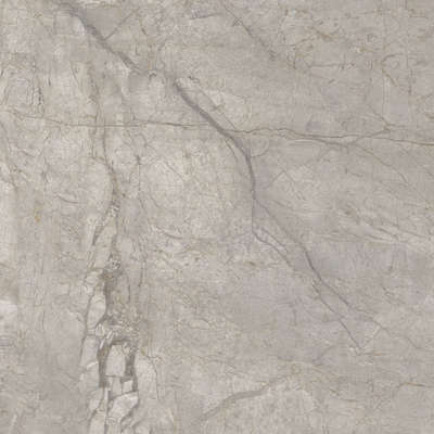 Silver Grey Silk 60x60 (600x600)