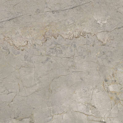 Silver Grey Silk 60x60 (600x600)