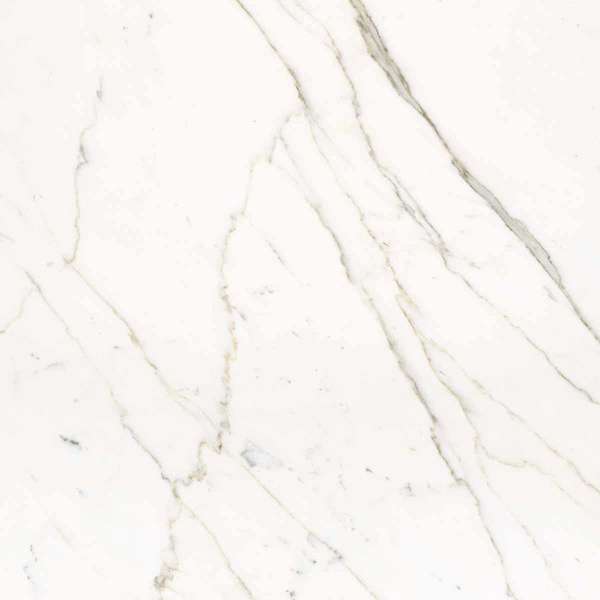 Calacatta Statuarietto Lappato 60x60 (600x600)