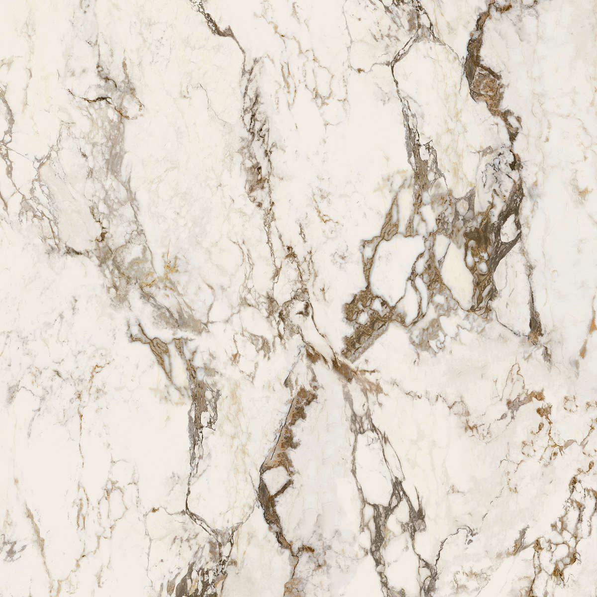 Breccia Tortona Lappato 120x120 (1200x1200)