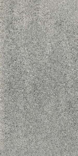 Gneiss Grey R11 RT 30x60 (300x600)