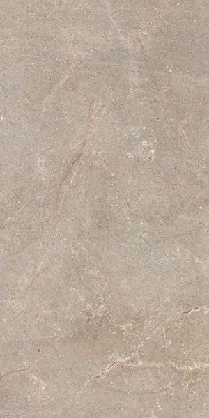 Imperiale Walnut R11 RT 30x60 (300x600)