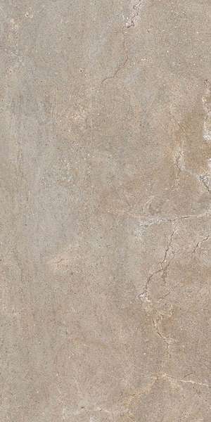 Imperiale Walnut R11 RT 30x60 (300x600)
