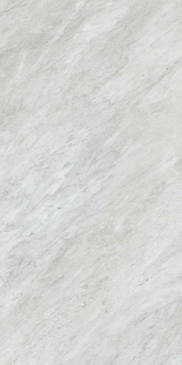 Bardiglio Silver Silk RT 60x120 (600x1200)
