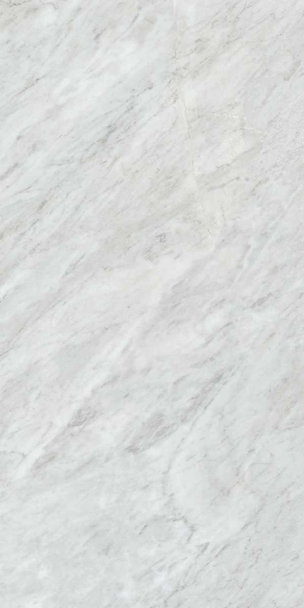 Bardiglio Silver Silk RT 60x120 (600x1200)