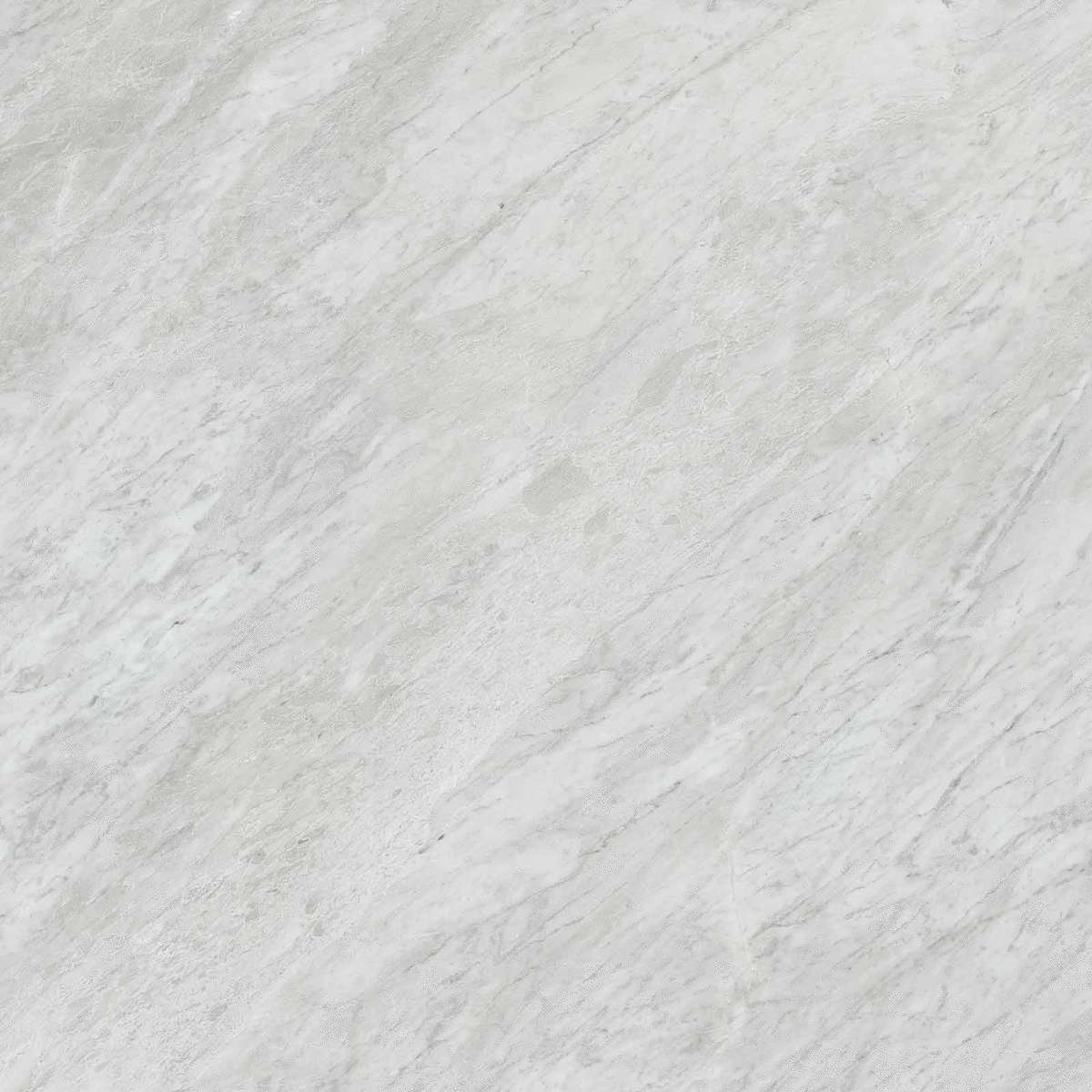 Bardiglio Silver Silk RT 60x60 (1200x1200)