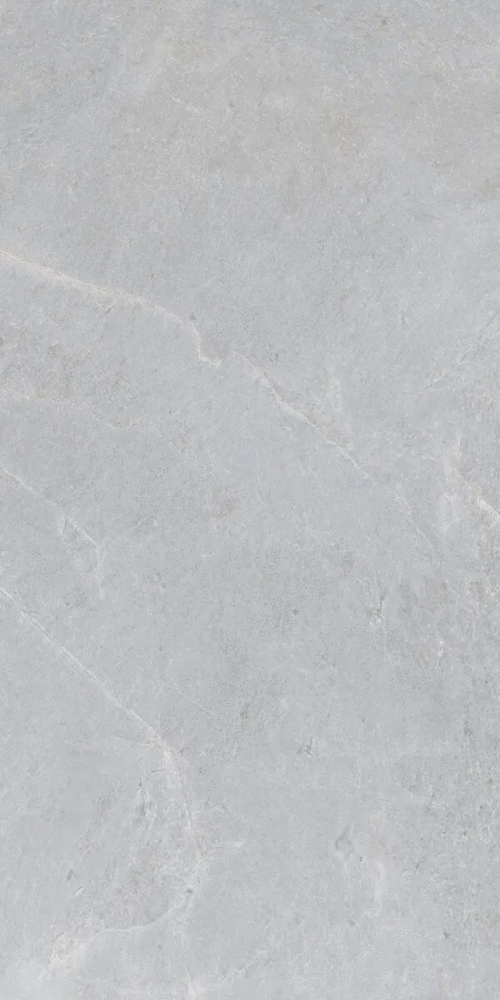 Grey Matt 60x120 (600x1200)