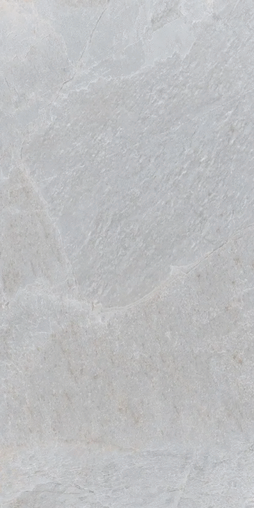 Grey Matt 60x120 (600x1200)
