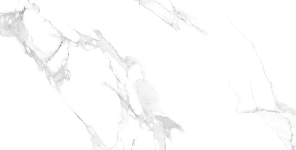 Carrara Bianco Matt 60x120 (1200x600)