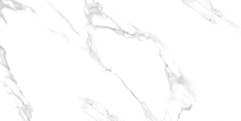 Carrara Bianco Matt 60x120 (1200x600)