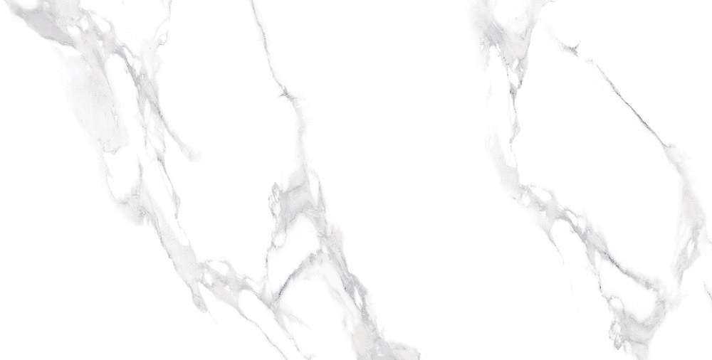 Carrara Bianco Matt 60x120 (1200x600)