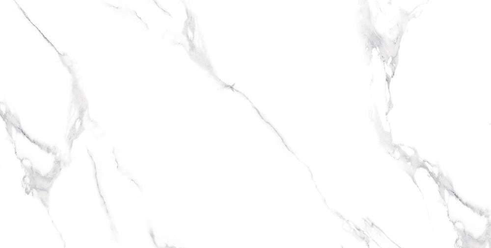 Carrara Bianco Matt 60x120 (1200x600)