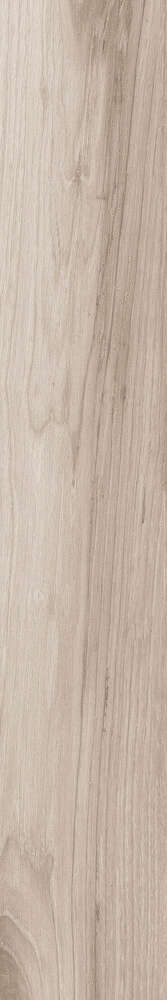 Grigio Rustic Matt 20x120 (200x1200)