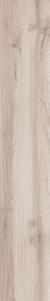 Grigio Rustic Matt 20x120 (200x1200)