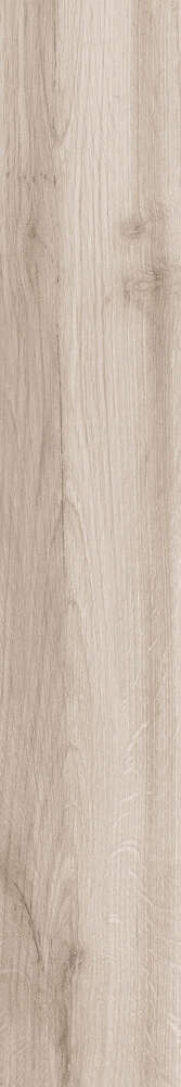 Grigio Rustic Matt 20x120 (200x1200)