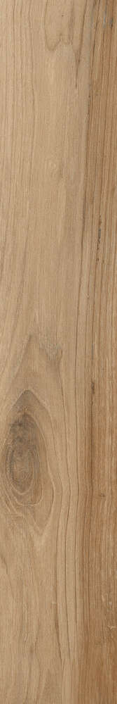 Honey Rustic Matt 20x120 (200x1200)