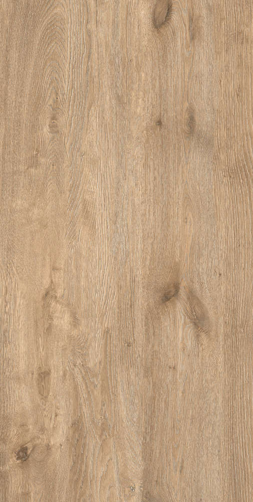 Maple светлая Matt 60х120 (600x1200)
