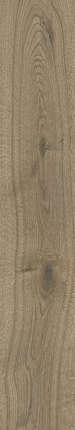 Керальд Havana Brown Matt 20x120