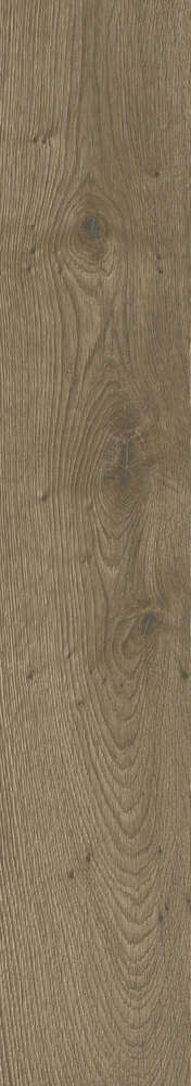 Brown Matt 20x120 (200x1200)