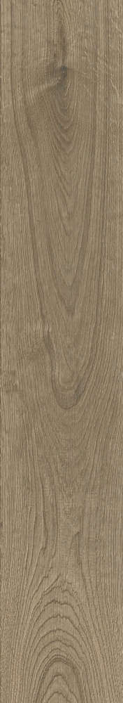 Brown Matt 20x120 (200x1200)