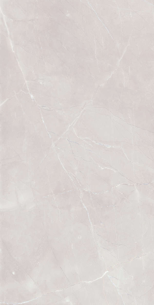 Grey Matt 60х120 (600x1200)