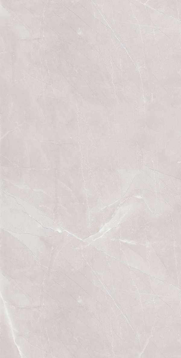 Grey Matt 60х120 (600x1200)