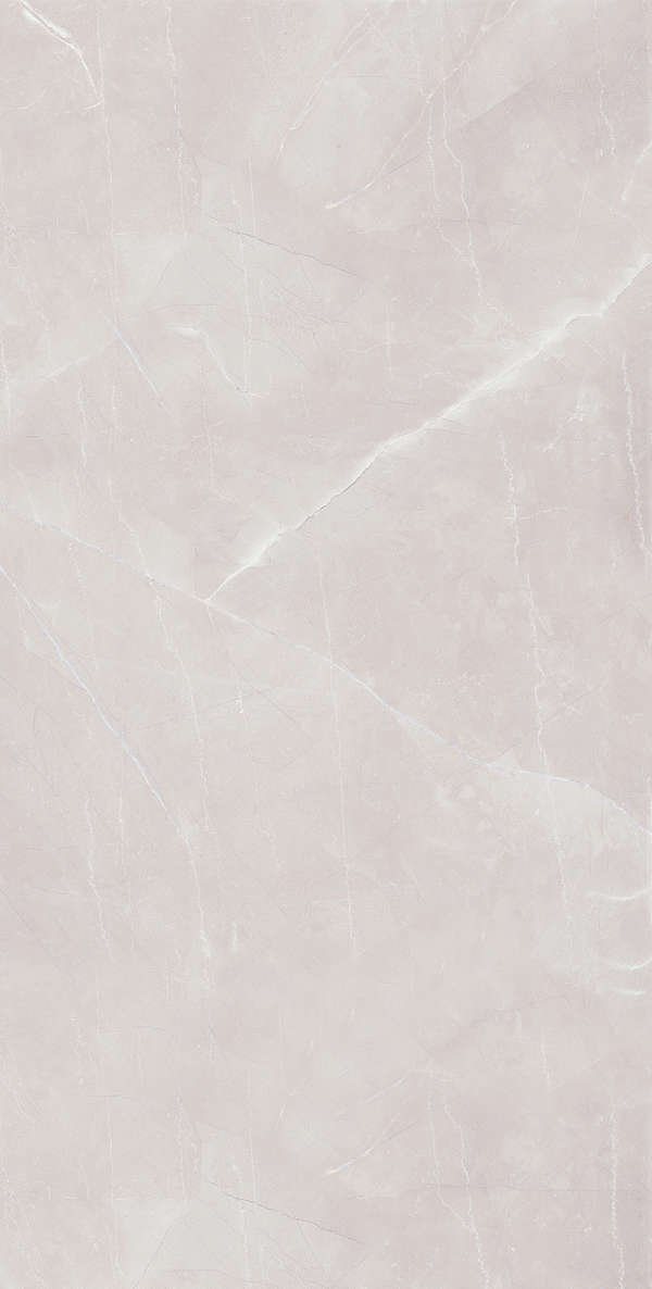 Grey Matt 60х120 (600x1200)