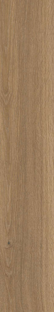 Brown Matt 20x120 (200x1200)