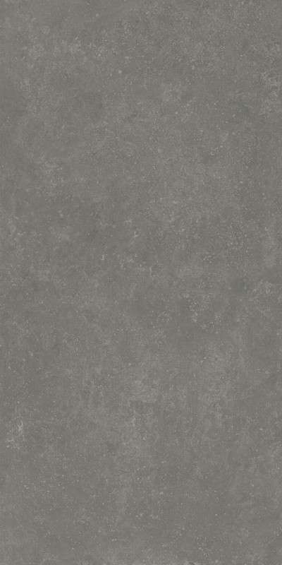RP Серый Тёмный Матовый Обрезной 60x119.5x0.9 (600x1195)