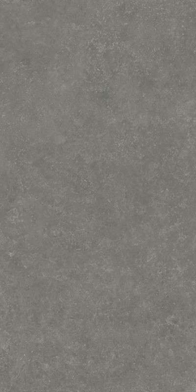 RP Серый Тёмный Матовый Обрезной 60x119.5x0.9 (600x1195)