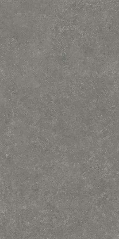 RP Серый Матовый Обрезной 60x119.5x0.9 (600x1195)