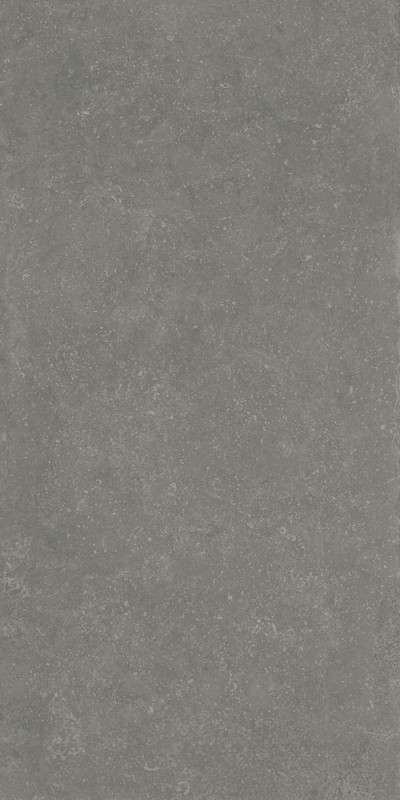RP Серый Матовый Обрезной 60x119.5x0.9 (600x1195)