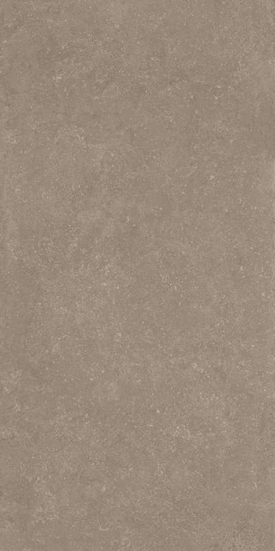 RP Бежевый Матовый Обрезной 60x119.5x0.9 (600x1195)